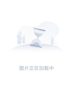 蓝江传之反飞组风云